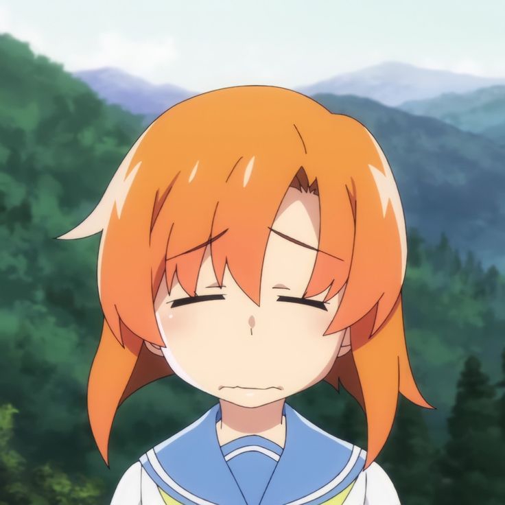 736x736