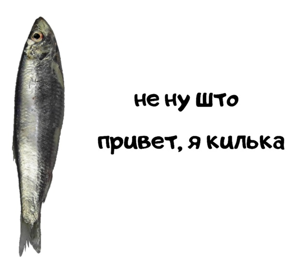 604x538