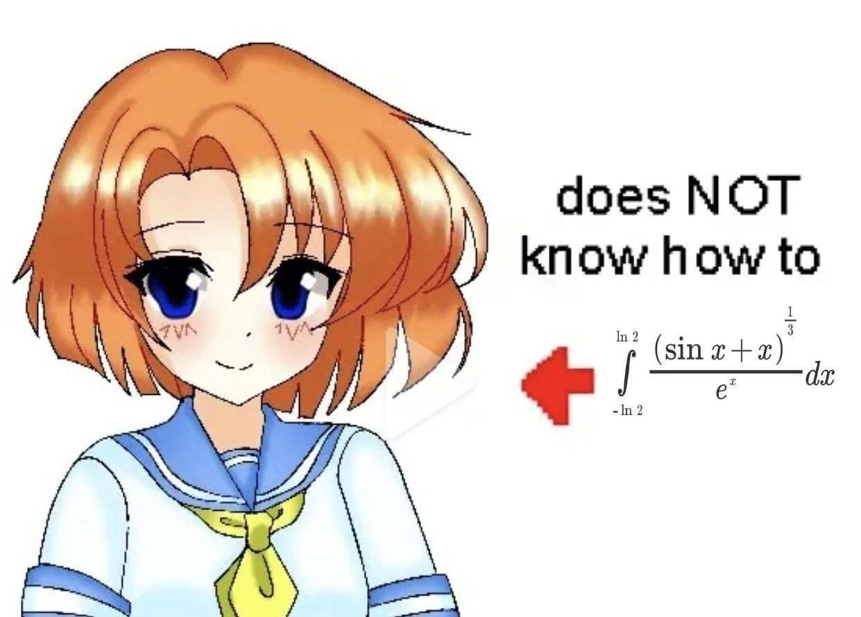 1241x889