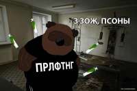 800x533