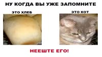 1280x720