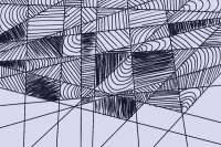 800x533