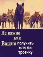 440x571