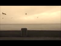 320x240