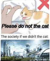 896x1080