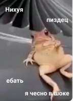 782x1080