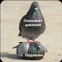 1080x1080