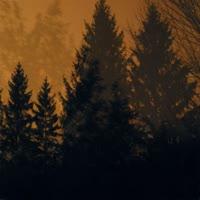 1080x1080