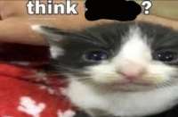 720x473