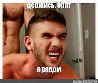 500x424