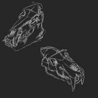 2000x2000