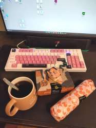 1736x2320