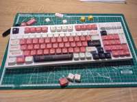 2320x1736