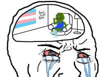 1000x772