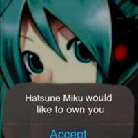 736x736