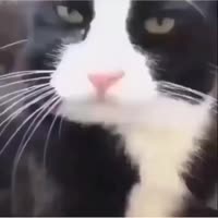 640x640