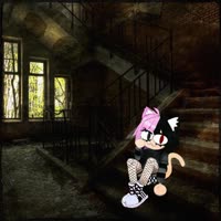 360x360