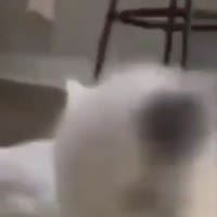 360x360