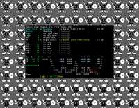 1280x1003