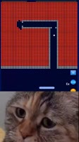 460x818