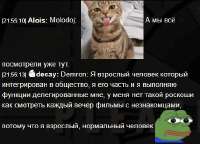 428x310