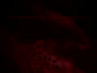 480x360