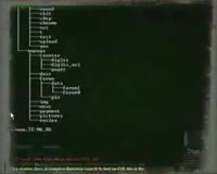 320x256