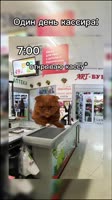 360x640