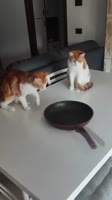 360x642