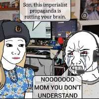 498x498