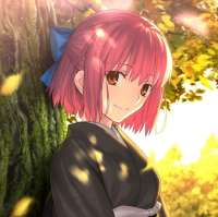 736x735