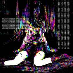 736x736