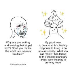 736x736