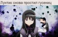 1280x807