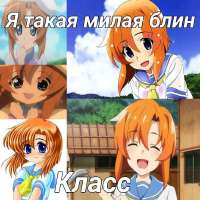 736x736