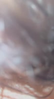 464x848