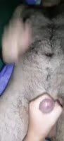 588x1280