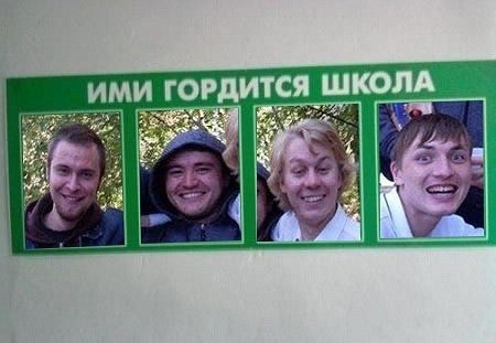 450x311