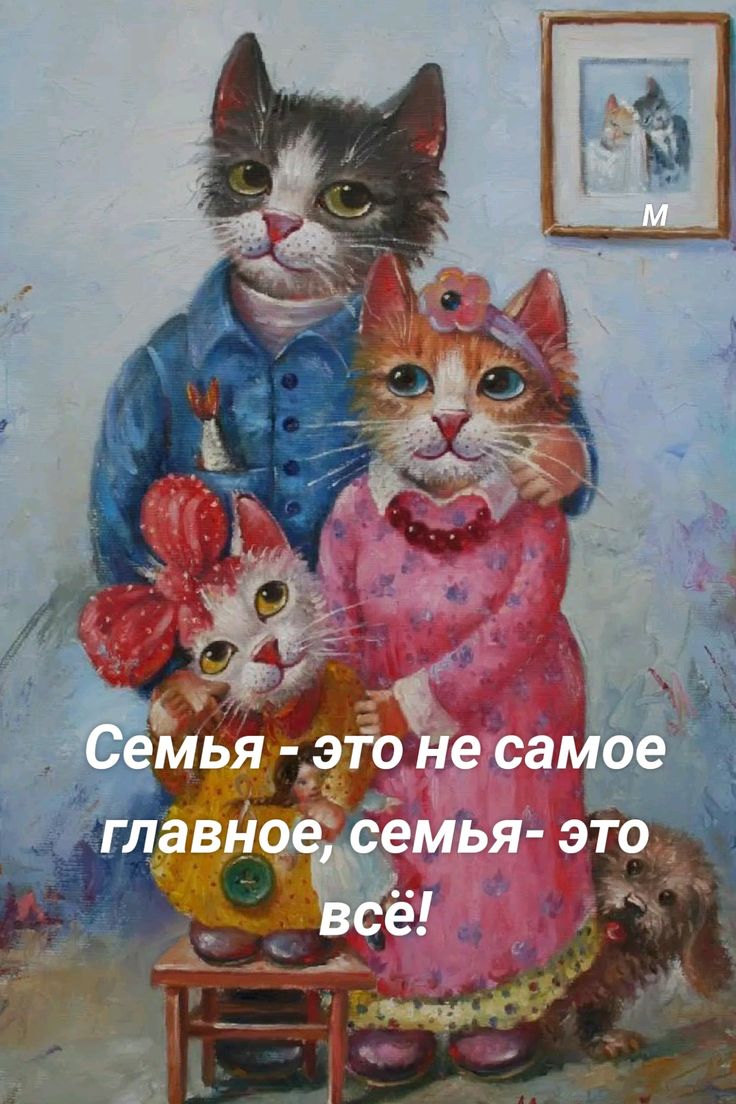 736x1104
