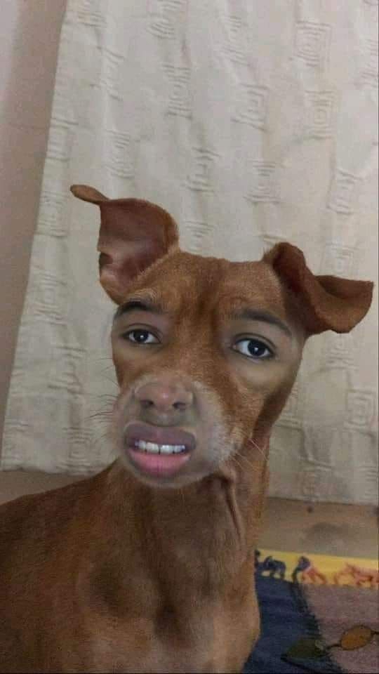 540x960
