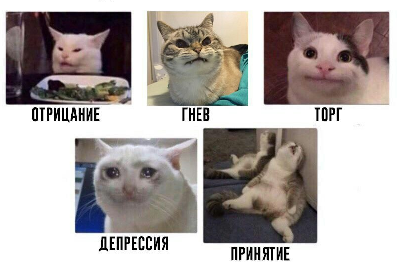796x536