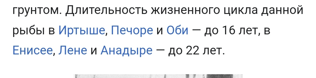 1080x268