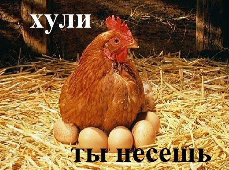 748x554