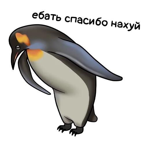512x512