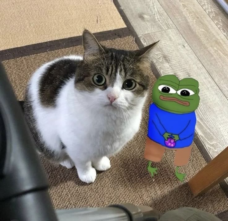 736x715