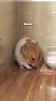 360x640
