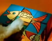 608x480
