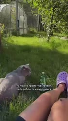 360x640