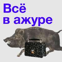 338x336