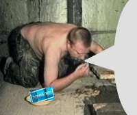400x337